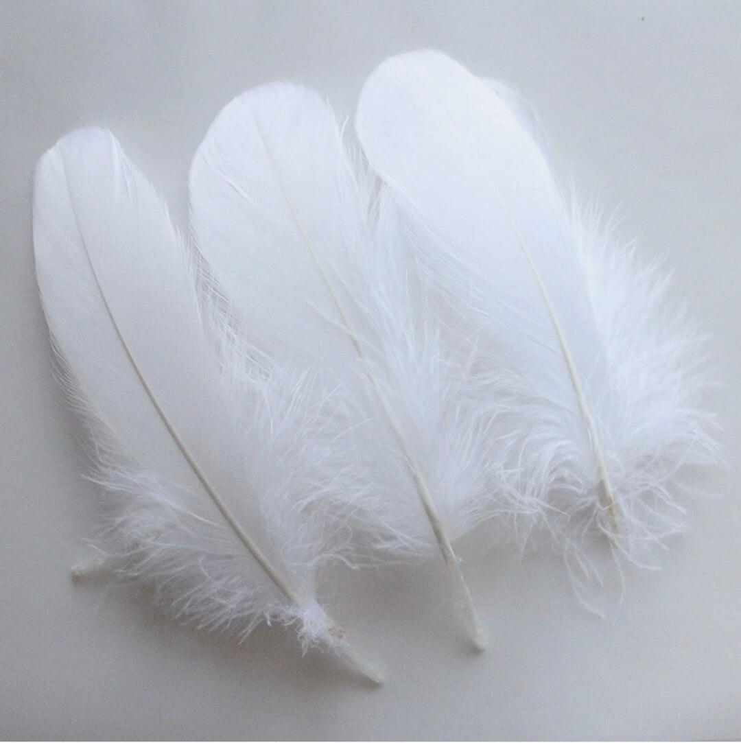 Goose Feather Manufacturer India
